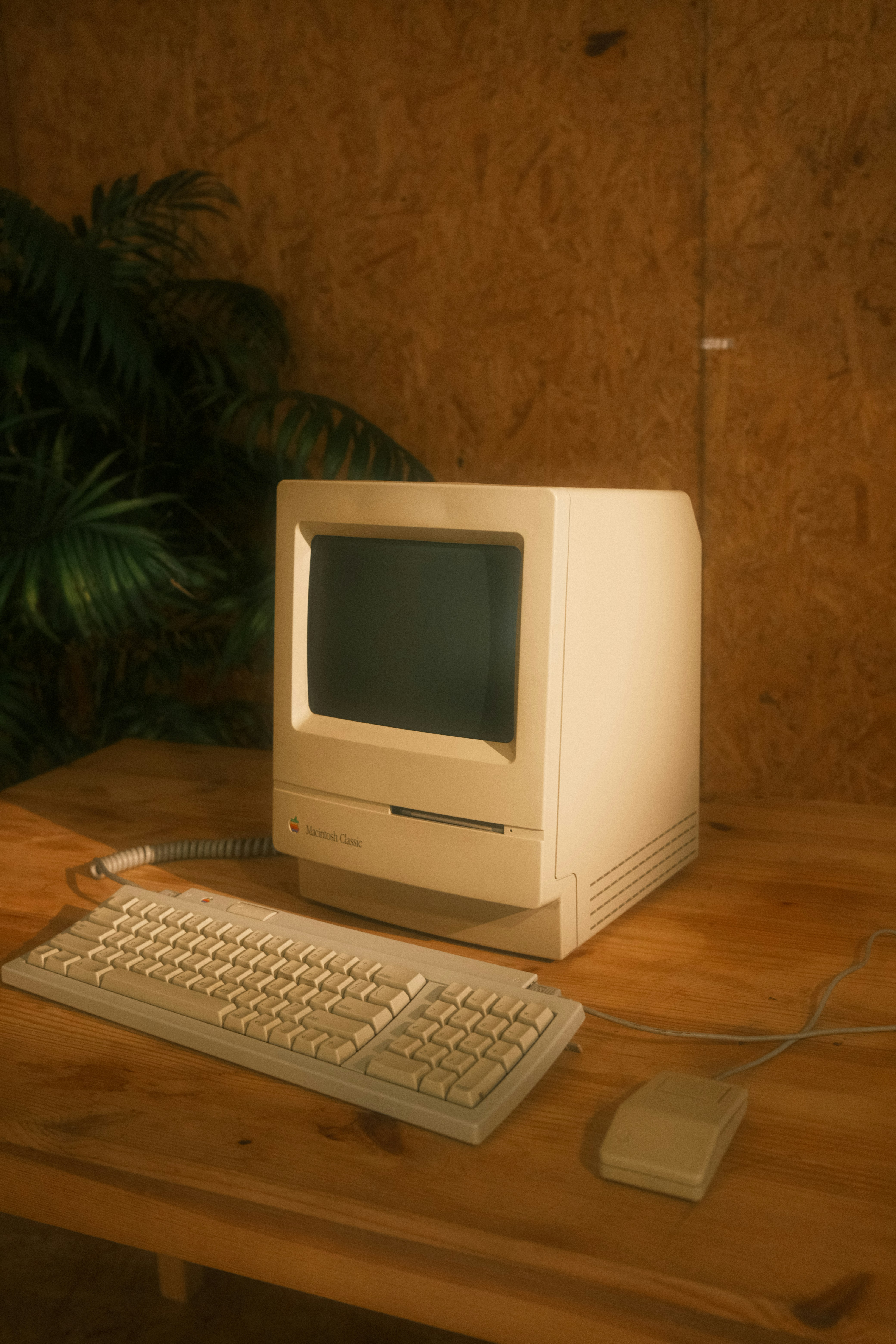 Macintosh Classic con teclado y mouse sobre una mesa